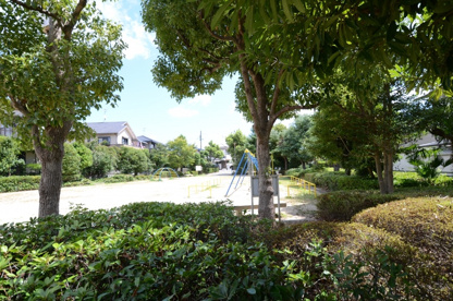 御殿山公園の画像5