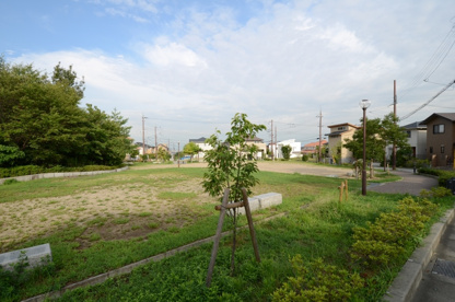 山手台東１丁目第２公園の画像3