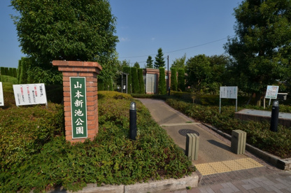 新池公園の画像1