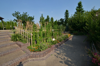 新池公園の画像3