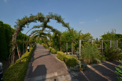 新池公園の画像5
