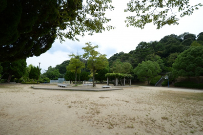 中山中央公園の画像1