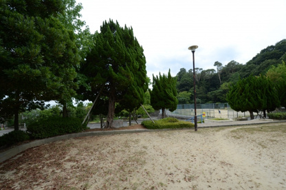 中山中央公園の画像3