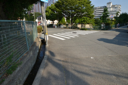 山本南第２公園の画像5