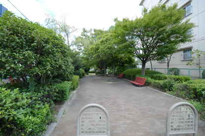 小浜第1公園の画像1