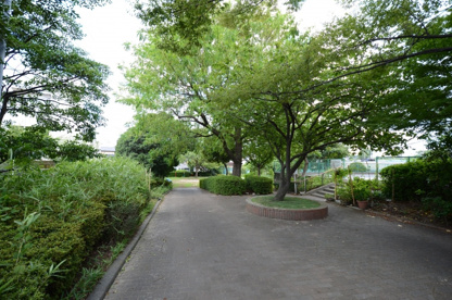 小浜第1公園の画像2