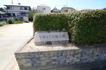 小林４丁目梅公園の画像5