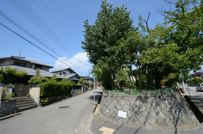 仁川台南公園の画像1