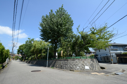 仁川台南公園の画像2