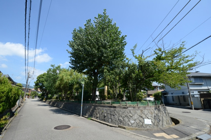 仁川台南公園の画像3