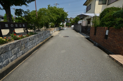 星の荘公園の画像5