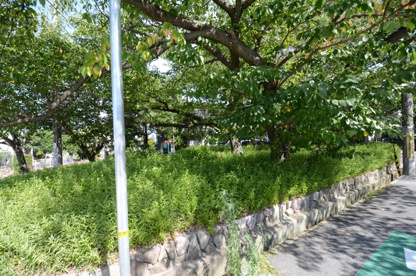 千種3丁目公園の画像1