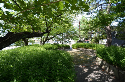 千種3丁目公園の画像3
