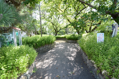 千種3丁目公園の画像5