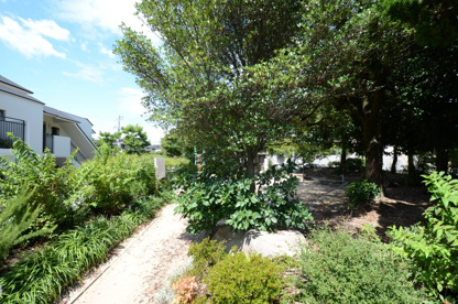 川面第3公園の画像3