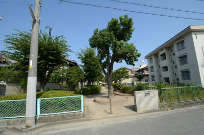 大成第3公園の画像4