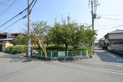大成第2公園の画像2