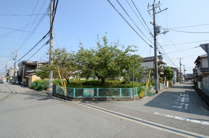 大成第2公園の画像3