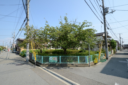 大成第2公園の画像4