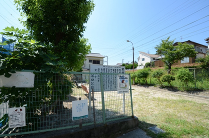 谷口公園の画像2