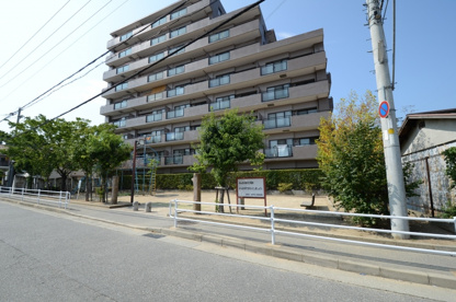 谷口町第2公園の画像4