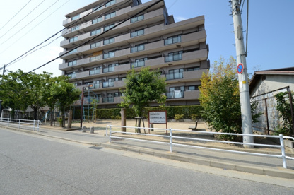 谷口町第2公園の画像5