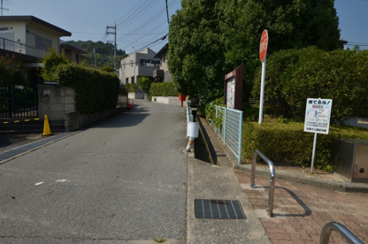 中山皿池公園の画像5