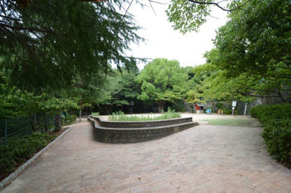 中山台みどり公園の画像3