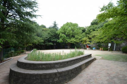 中山台みどり公園の画像4