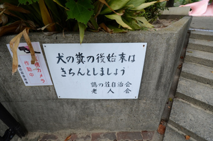 鶴の荘公園の画像5