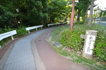 南ひばりガ丘公園の画像