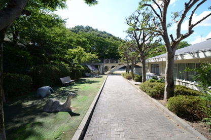 松ヶ丘公園の画像1