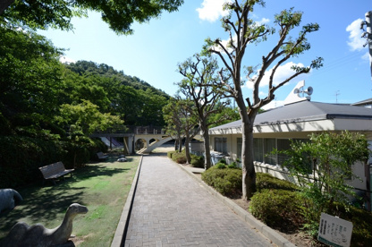松ヶ丘公園の画像2