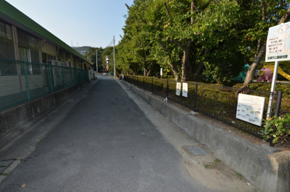平井公園の画像5