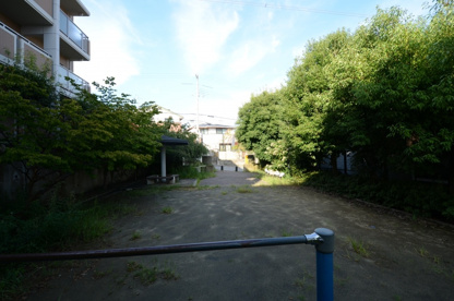 平井４丁目第３公園の画像3