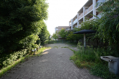 平井４丁目第３公園の画像5