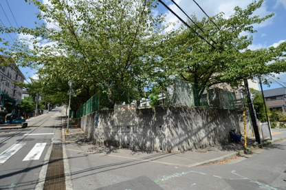 宝松公園の画像1