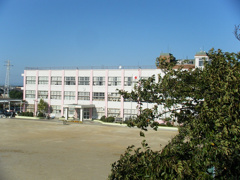 新川小学校