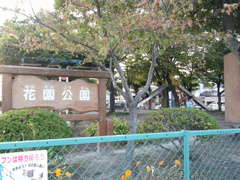 花園公園