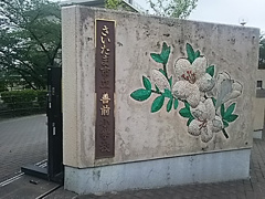 さいたま市立善前小学校