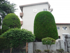 下小路中学校