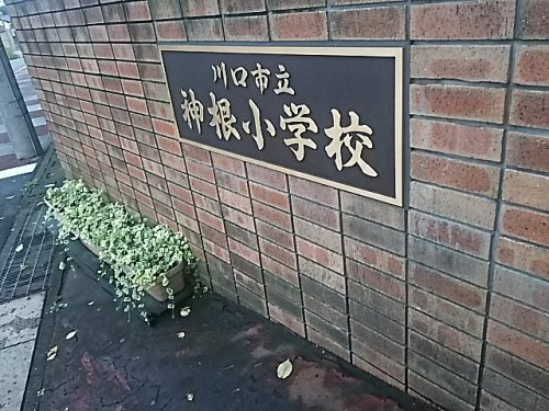 川口市立神根小学校
