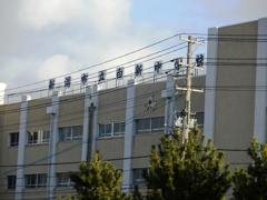 新潟市立白新中学校