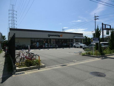 グルメシティ尼崎大庄店の画像5