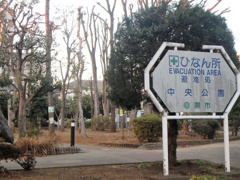 蕨市 中央公園
