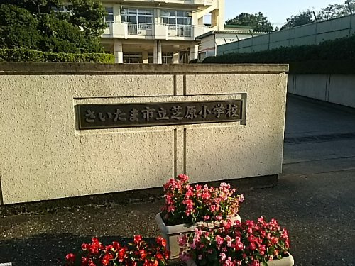 さいたま市立芝原小学校