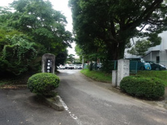 大曽根小学校