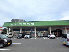 クスリのコダマとやの店
