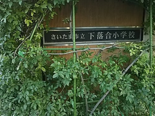 さいたま市立下落合小学校