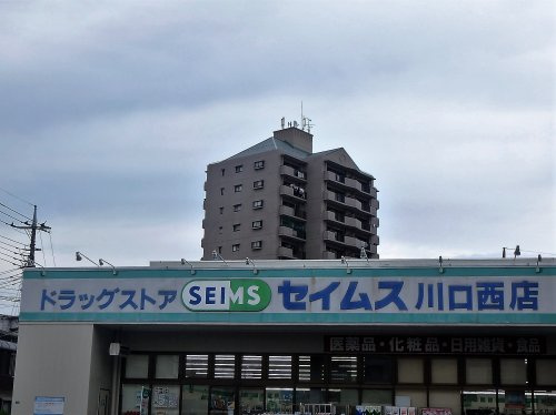 ドラッグセイムス 川口西店